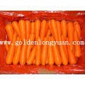 2016 New Crop Carrot De Shandong